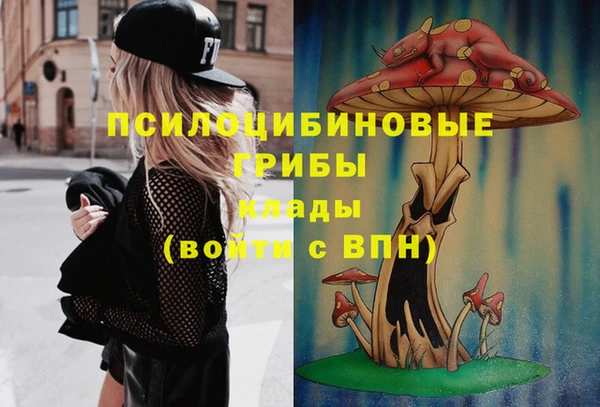 эйфоретик Белокуриха