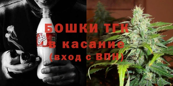 эйфоретик Белокуриха