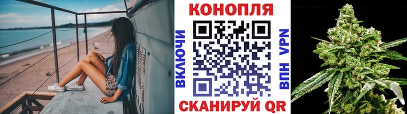 Каннабис индика  Купить где  Реж 